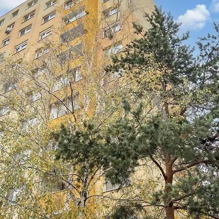 Tichy Dubravka 캠프장